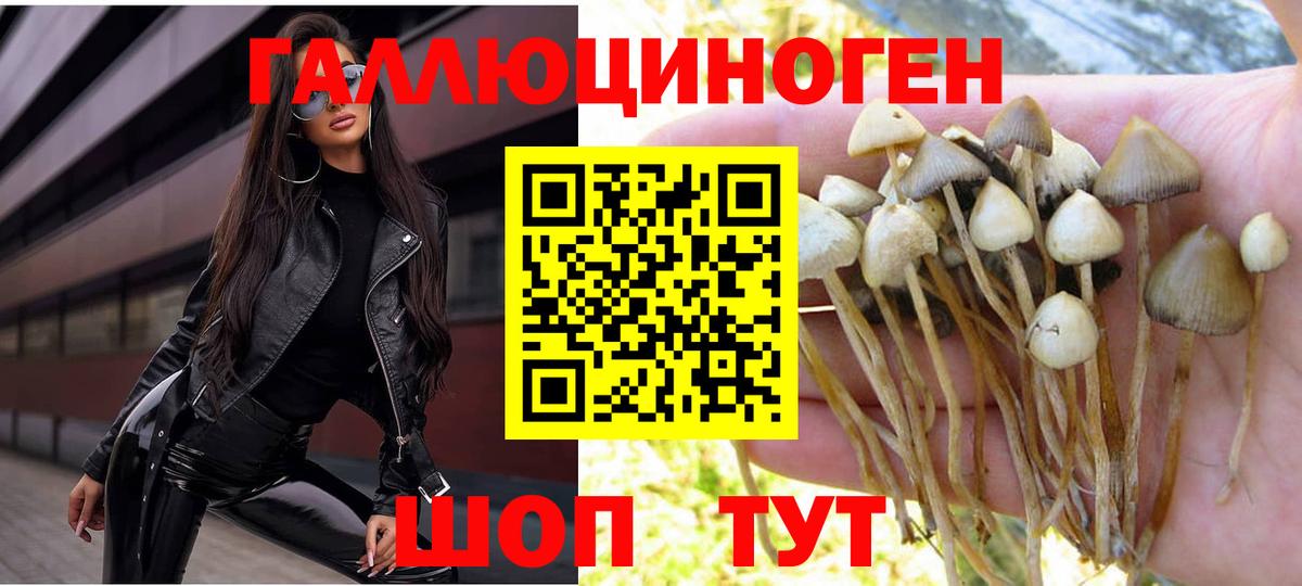 Дивногорск  Галлюциногенные грибы Magic Shrooms  Вход с VPN 