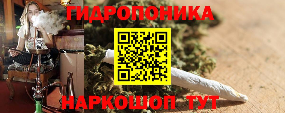 Конопля OG Kush Дивногорск